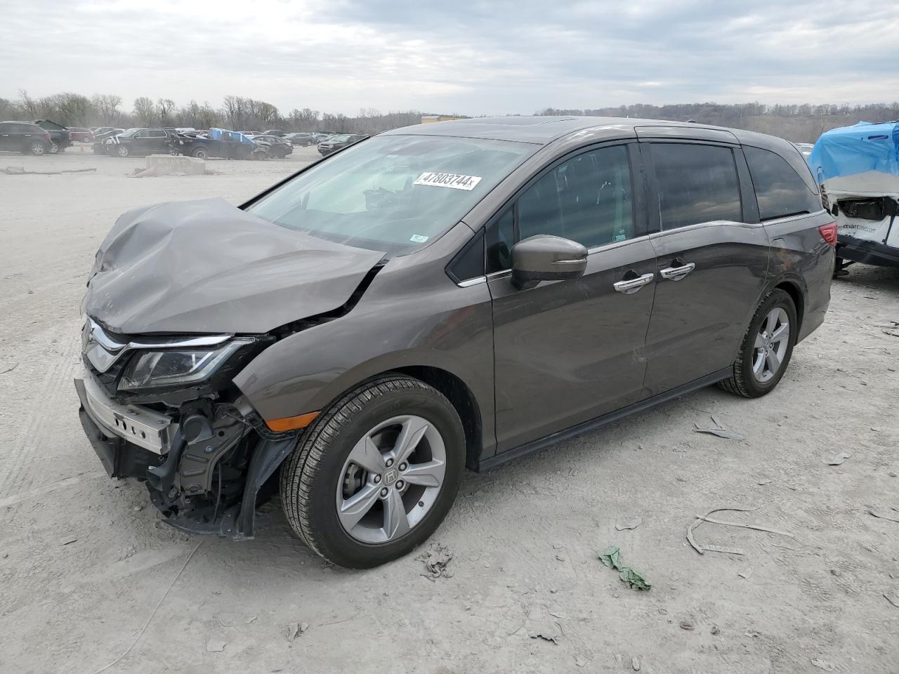 HONDA ODYSSEY 2019 5fnrl6h76kb059111