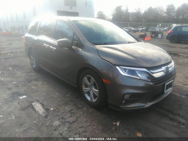 HONDA ODYSSEY 2019 5fnrl6h76kb063840