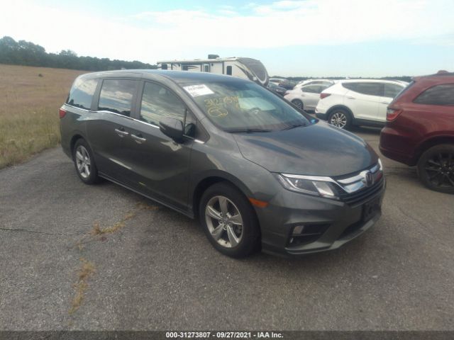 HONDA ODYSSEY 2019 5fnrl6h76kb071081