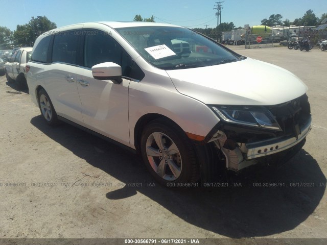 HONDA ODYSSEY 2019 5fnrl6h76kb071615