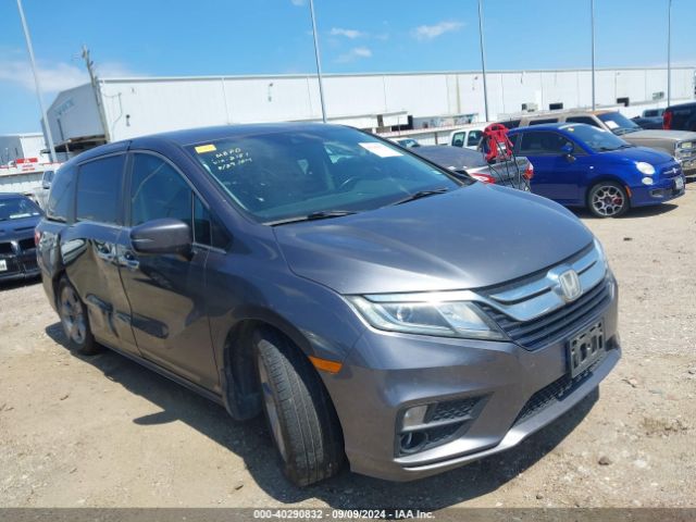 HONDA ODYSSEY 2019 5fnrl6h76kb072151