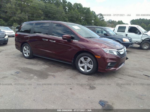 HONDA ODYSSEY 2019 5fnrl6h76kb098166