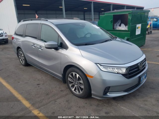 HONDA ODYSSEY 2021 5fnrl6h76mb006024