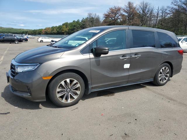 HONDA ODYSSEY EX 2022 5fnrl6h76nb010544