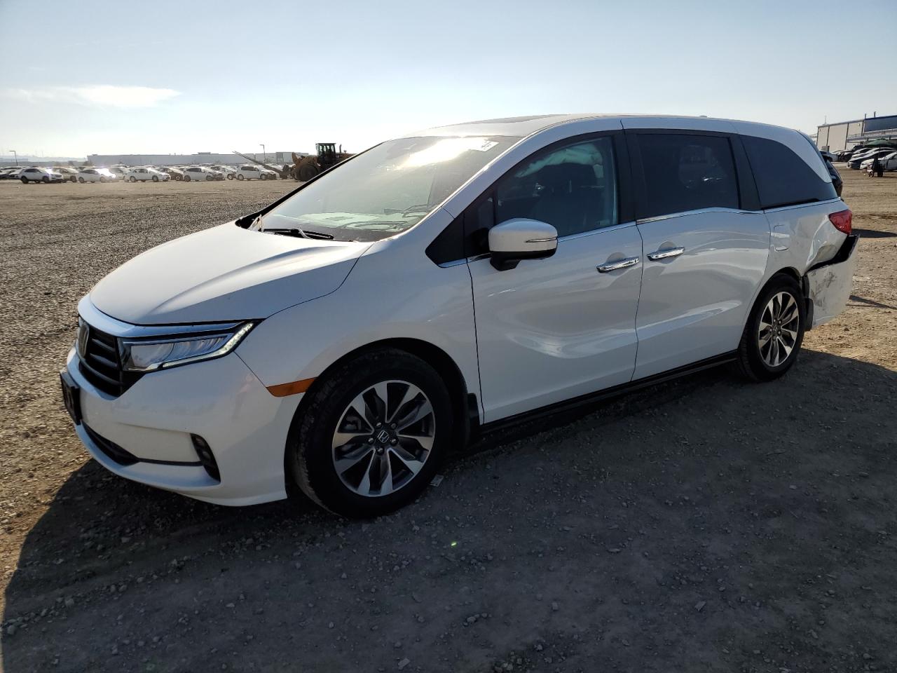 HONDA ODYSSEY 2022 5fnrl6h76nb038568