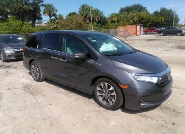 HONDA ODYSSEY 2022 5fnrl6h76nb060747