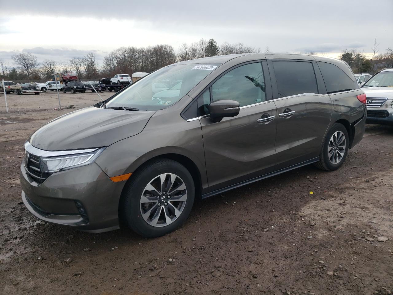 HONDA ODYSSEY 2022 5fnrl6h76nb067987