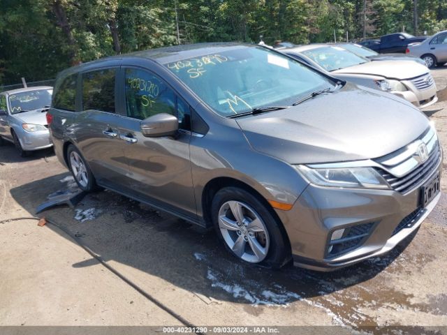 HONDA ODYSSEY 2018 5fnrl6h77jb042686