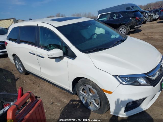 HONDA ODYSSEY 2018 5fnrl6h77jb053946