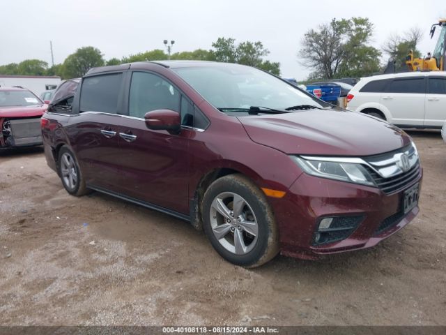 HONDA ODYSSEY 2018 5fnrl6h77jb085098