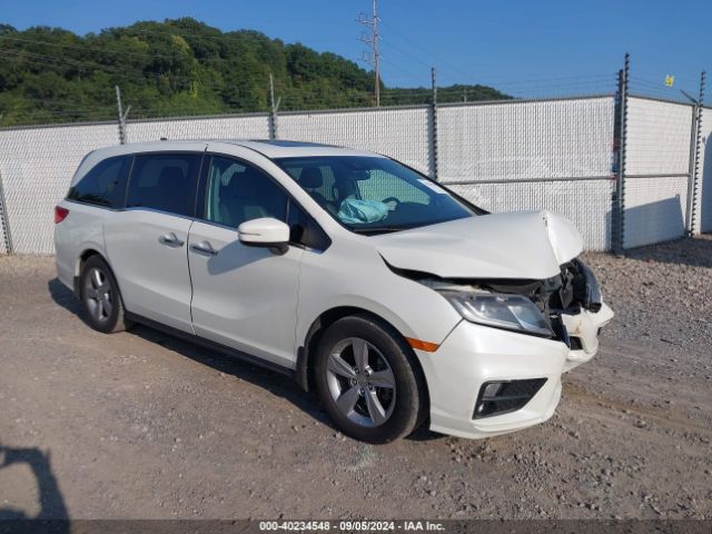 HONDA ODYSSEY 2018 5fnrl6h77jb106385