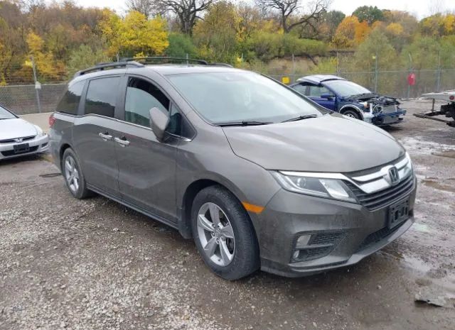 HONDA ODYSSEY 2019 5fnrl6h77kb004005