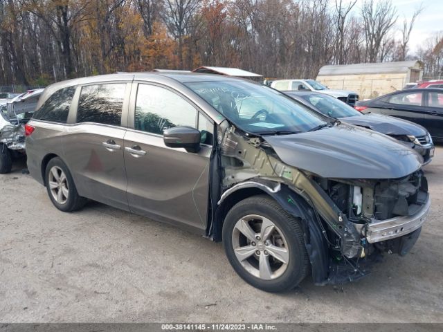 HONDA ODYSSEY 2019 5fnrl6h77kb008457