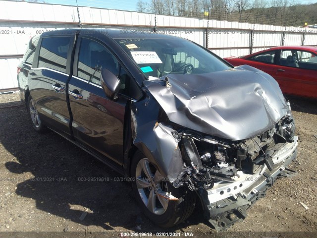 HONDA ODYSSEY 2019 5fnrl6h77kb010287