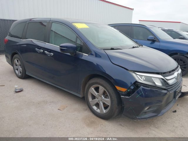 HONDA ODYSSEY 2019 5fnrl6h77kb012850