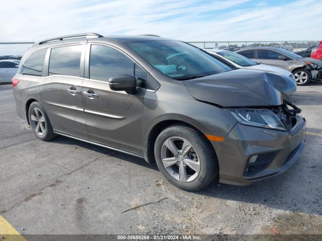 HONDA ODYSSEY 2019 5fnrl6h77kb013108