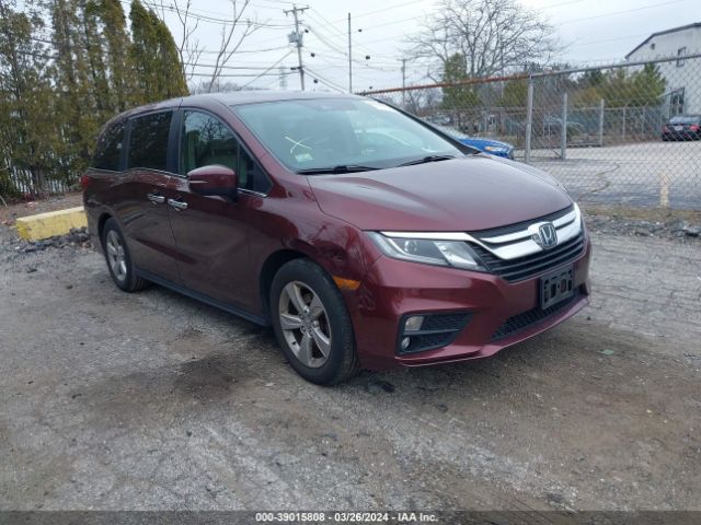 HONDA ODYSSEY 2019 5fnrl6h77kb039241