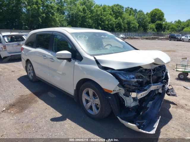 HONDA ODYSSEY 2019 5fnrl6h77kb055584