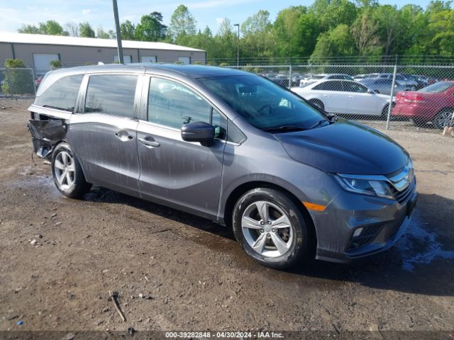 HONDA ODYSSEY 2019 5fnrl6h77kb064950