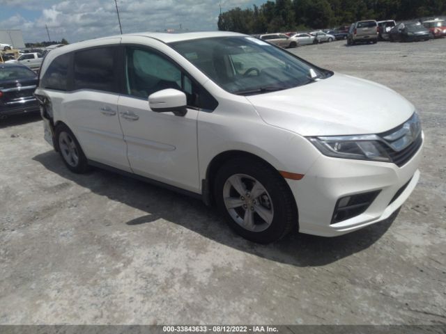 HONDA ODYSSEY 2019 5fnrl6h77kb082171