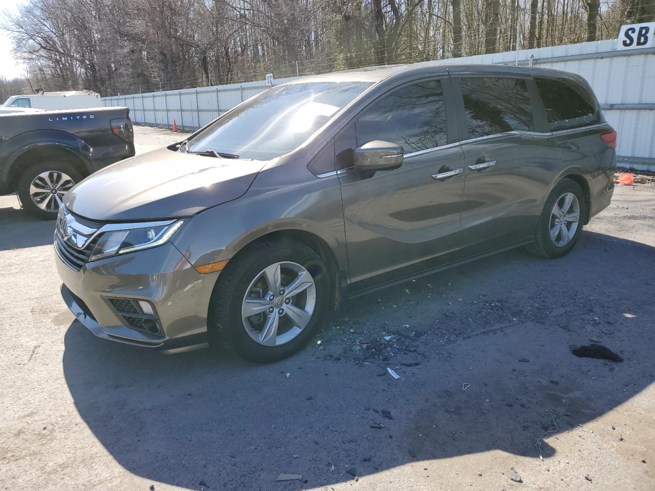 HONDA ODYSSEY 2019 5fnrl6h77kb093784