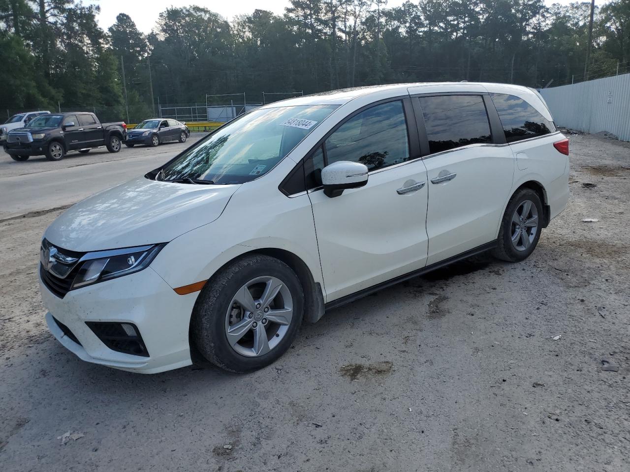 HONDA ODYSSEY 2019 5fnrl6h77kb097396