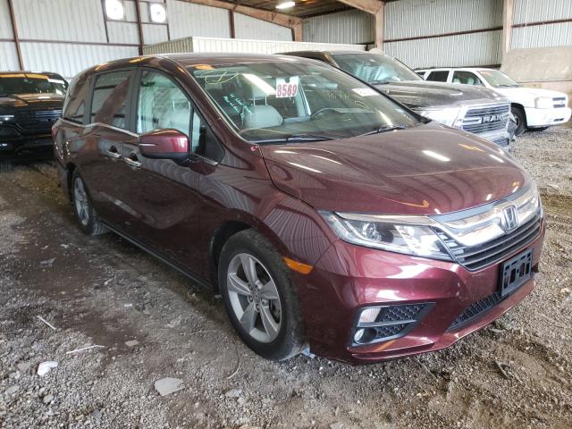 HONDA ODYSSEY EX 2019 5fnrl6h77kb098130