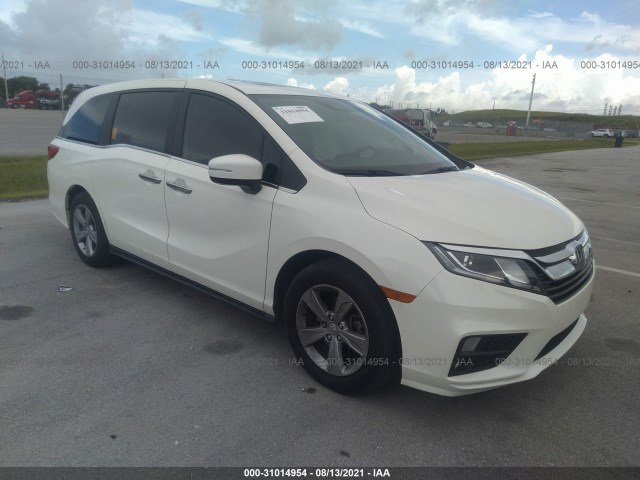 HONDA ODYSSEY 2019 5fnrl6h77kb099021