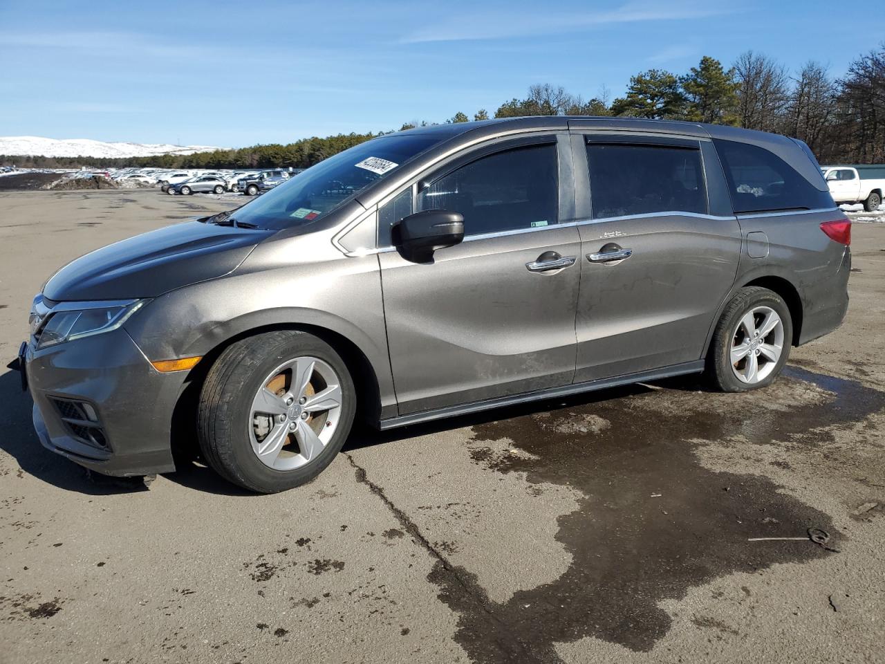 HONDA ODYSSEY 2019 5fnrl6h77kb099374