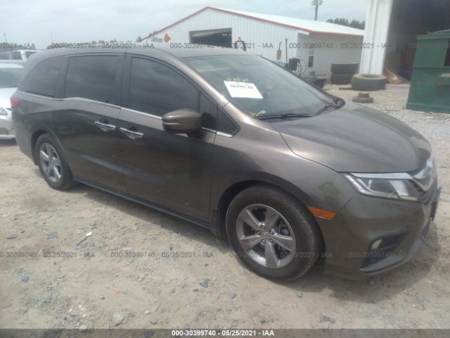 HONDA ODYSSEY 2019 5fnrl6h77kb108106