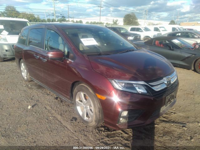 HONDA ODYSSEY 2019 5fnrl6h77kb116433