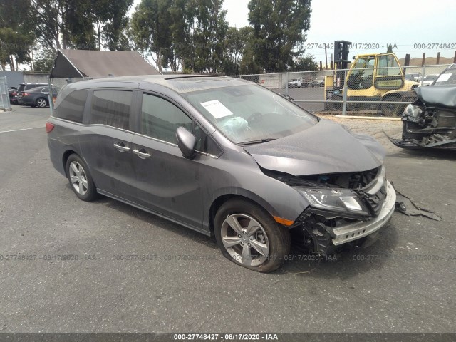 HONDA ODYSSEY 2019 5fnrl6h77kb136715