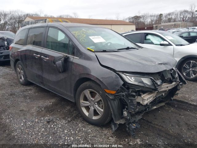 HONDA ODYSSEY 2019 5fnrl6h77kb138142