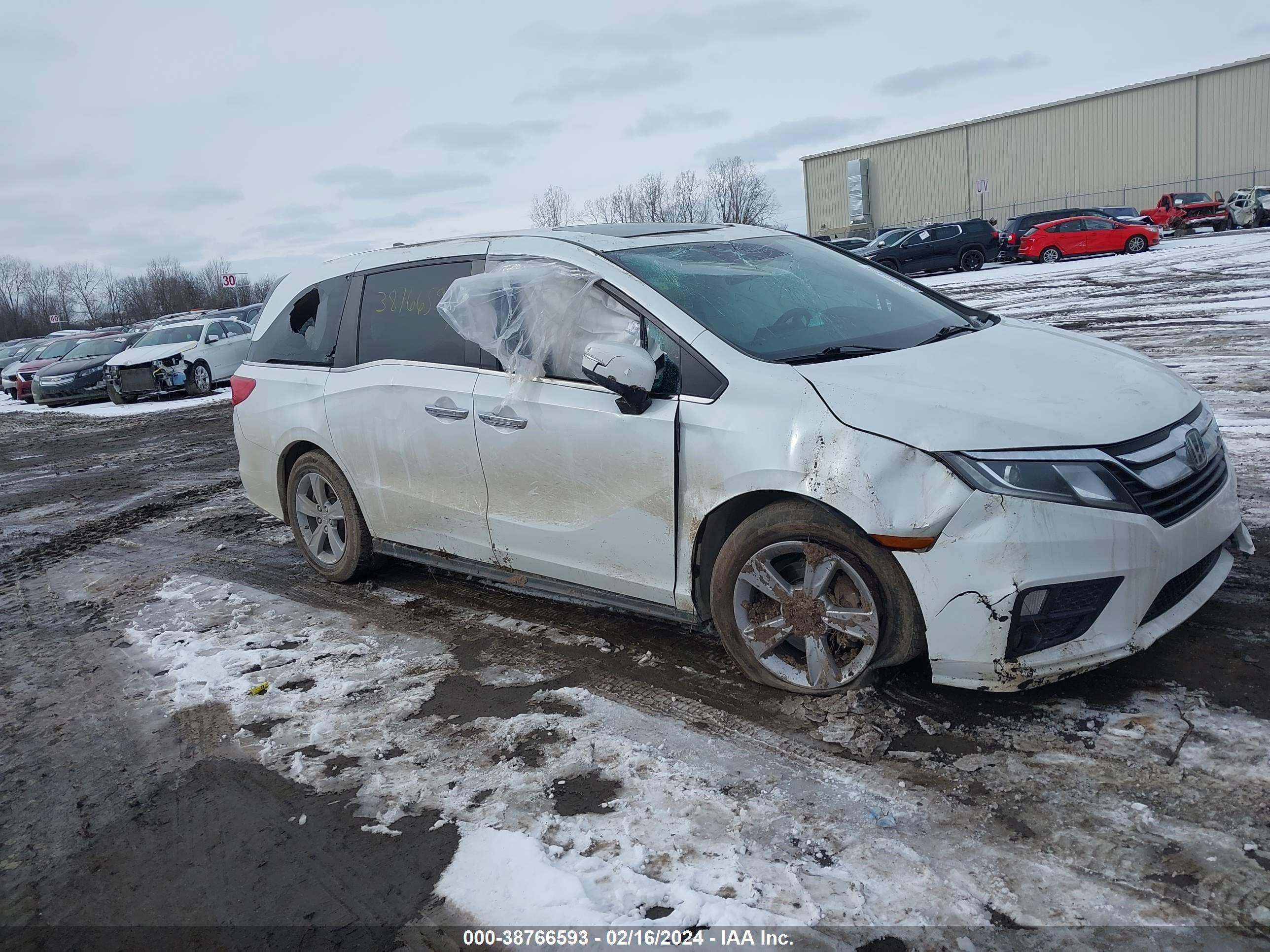 HONDA ODYSSEY 2020 5fnrl6h77lb029052