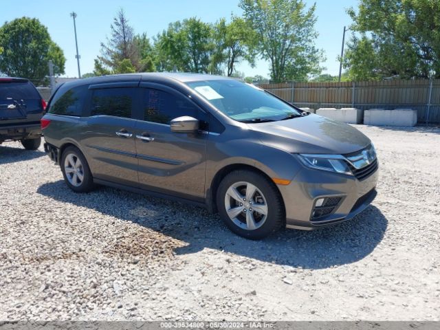 HONDA ODYSSEY 2020 5fnrl6h77lb051701