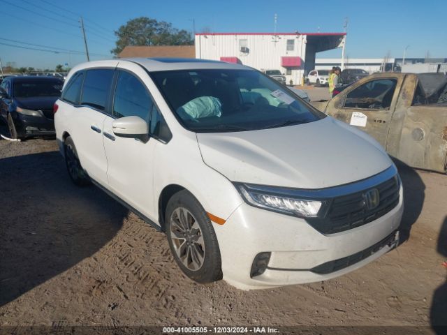 HONDA ODYSSEY 2021 5fnrl6h77mb001799