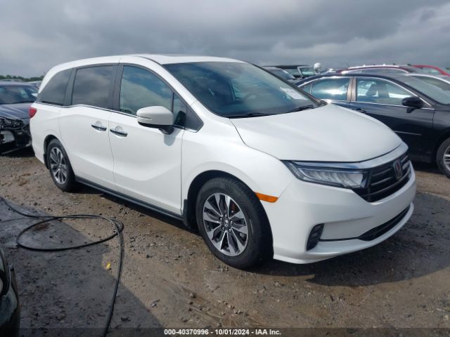 HONDA ODYSSEY 2021 5fnrl6h77mb012866