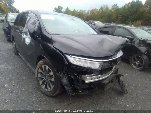 HONDA ODYSSEY 2022 5fnrl6h77nb025022