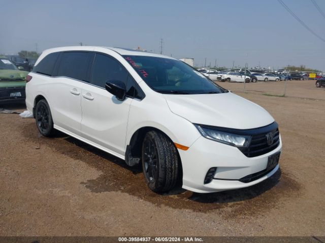 HONDA ODYSSEY 2023 5fnrl6h77pb022172