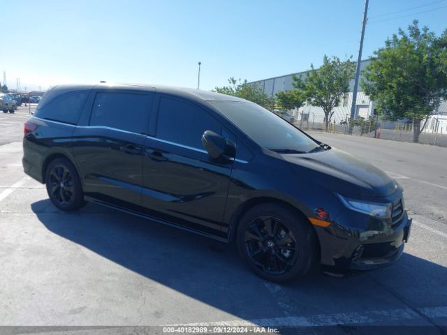 HONDA ODYSSEY 2023 5fnrl6h77pb039795