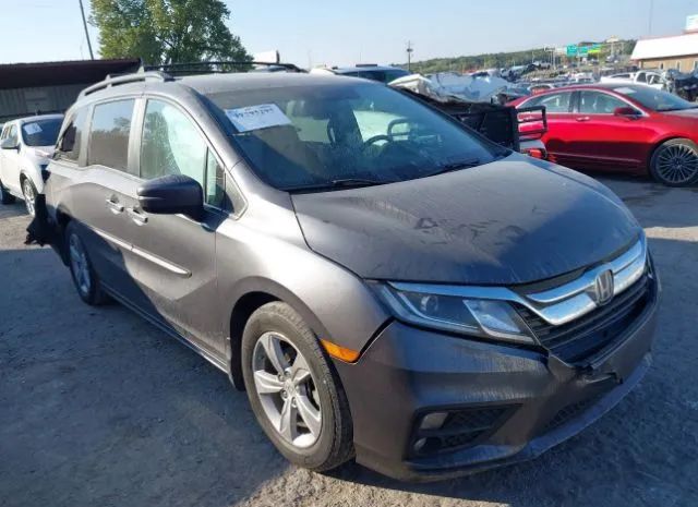 HONDA ODYSSEY 2018 5fnrl6h78jb067614