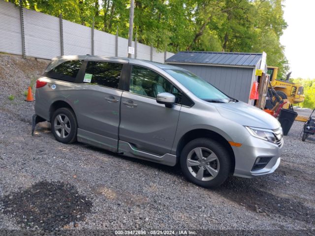 HONDA ODYSSEY 2019 5fnrl6h78kb041564