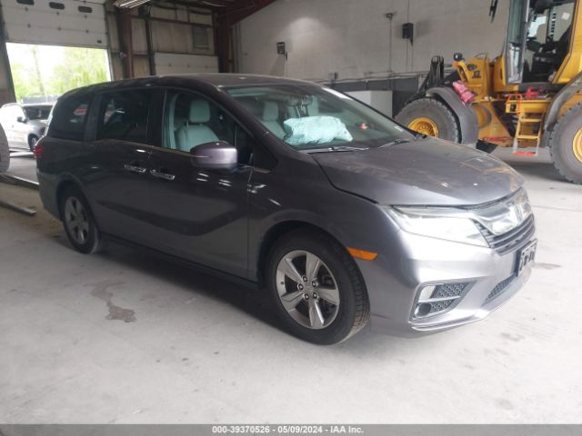 HONDA ODYSSEY 2019 5fnrl6h78kb063709