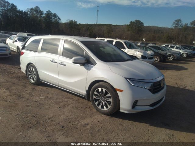 HONDA ODYSSEY 2021 5fnrl6h78mb037114