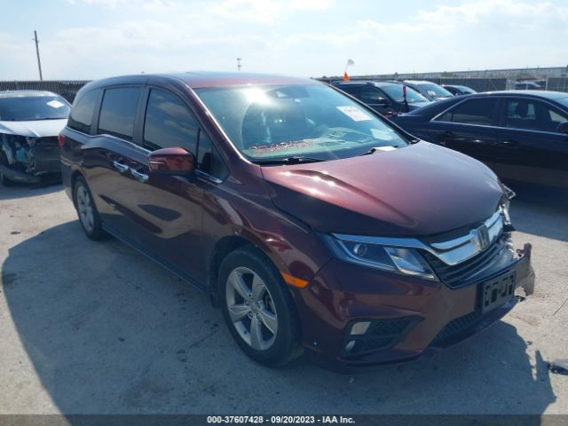 HONDA ODYSSEY 2018 5fnrl6h79jb052250