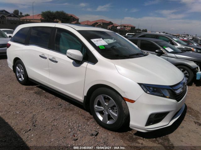 HONDA ODYSSEY 2019 5fnrl6h79kb011506