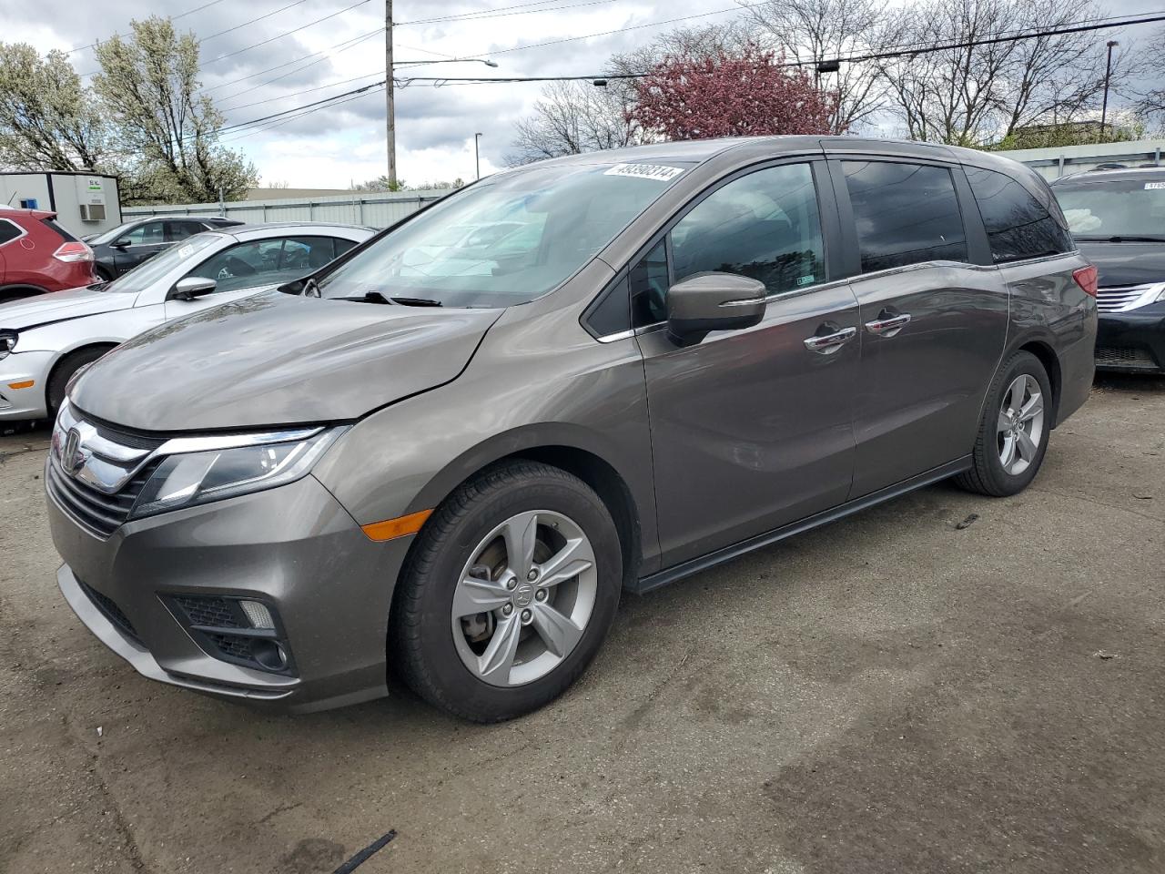 HONDA ODYSSEY 2019 5fnrl6h79kb022358