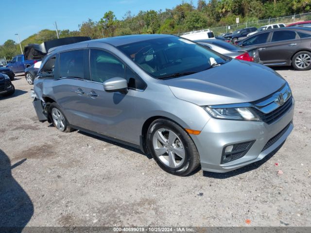 HONDA ODYSSEY 2019 5fnrl6h79kb031996