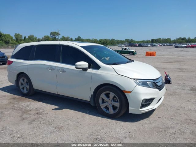 HONDA ODYSSEY 2019 5fnrl6h79kb045977