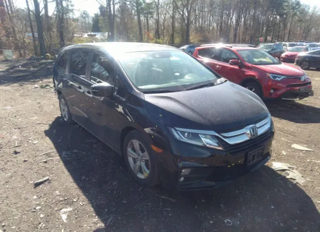 HONDA ODYSSEY 2019 5fnrl6h79kb050225